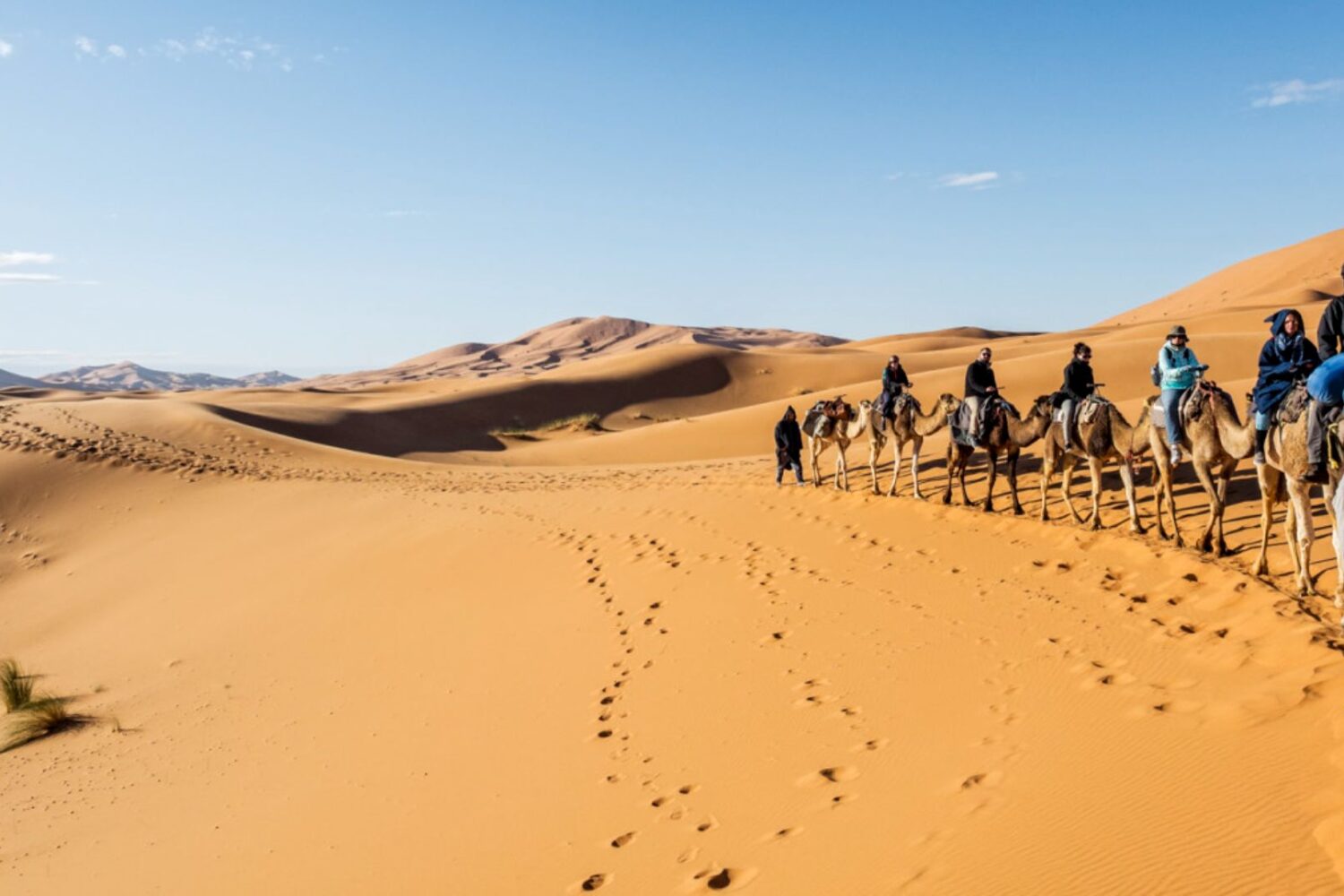 4 Days Private Desert Tour