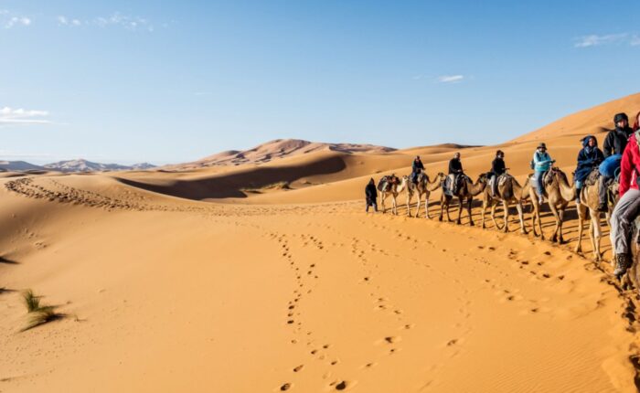 4 Days Private Desert Tour