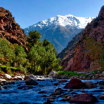Marrakech To Ourika